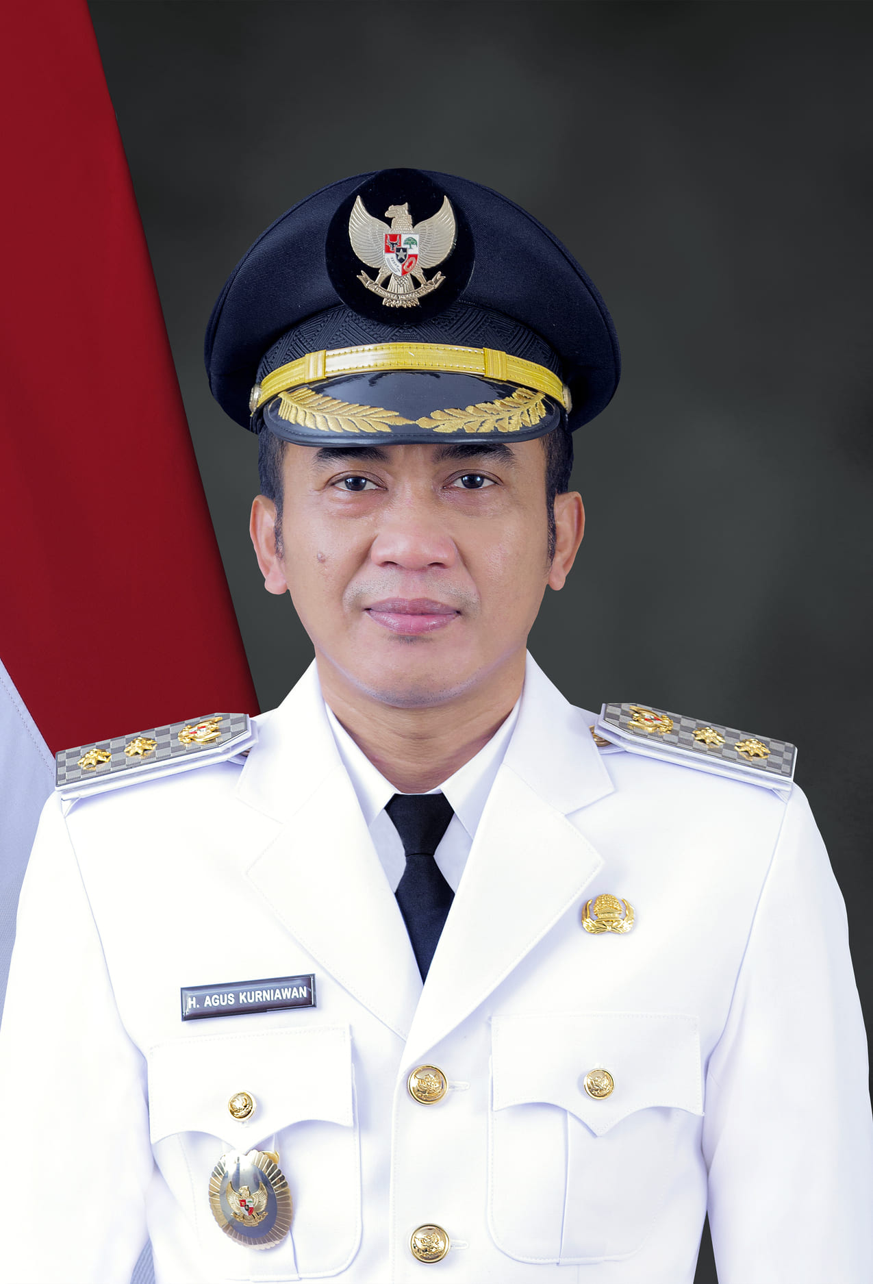 Wakil Bupati